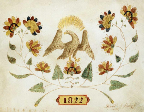 A Watercolor and Ink Drawing of a Spread Eagle Black Ornate Wood Framed Art Print with Double Matting by Sheley, David A.