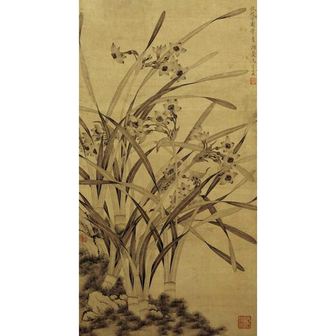 Narcissus Black Modern Wood Framed Art Print by Shouzhen, Ma
