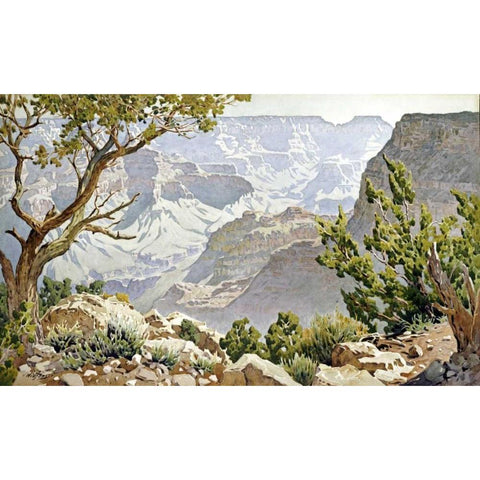 Grand Canyon White Modern Wood Framed Art Print by Widforss, Gunnar