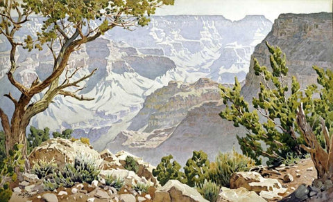 Grand Canyon White Modern Wood Framed Art Print with Double Matting by Widforss, Gunnar