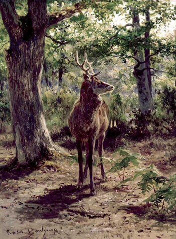 Stag On Alert, In Wooded Clearing Black Ornate Wood Framed Art Print with Double Matting by Bonheur, Rosa