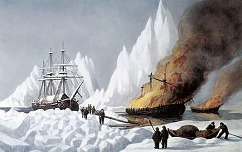 American Whalers Crushed In The Ice White Modern Wood Framed Art Print with Double Matting by Ives, Currier and