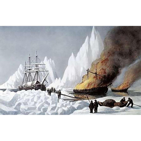 American Whalers Crushed In The Ice Black Modern Wood Framed Art Print by Ives, Currier and