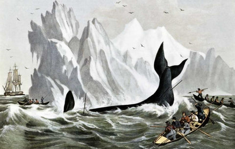 Capturing The Whale White Modern Wood Framed Art Print with Double Matting by Currier and Ives