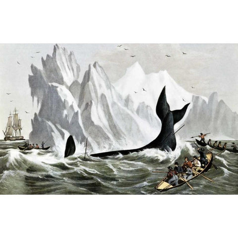 Capturing The Whale White Modern Wood Framed Art Print by Currier and Ives