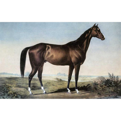 Celebrated Horse Lexington Gold Ornate Wood Framed Art Print with Double Matting by Currier and Ives