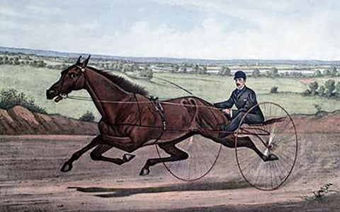Queen of The Turf Maud S., Driven By W.W. Bair White Modern Wood Framed Art Print with Double Matting by Ives, Currier and