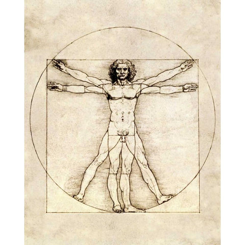 Proportions of the Human Figure - Vitruvian Man Black Modern Wood Framed Art Print with Double Matting by Da Vinci, Leonardo