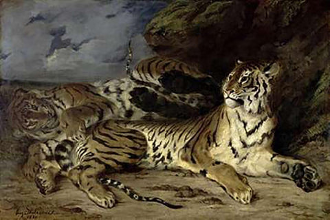 Young Tiger Playing with his Mother White Modern Wood Framed Art Print with Double Matting by Delacroix, Eugene
