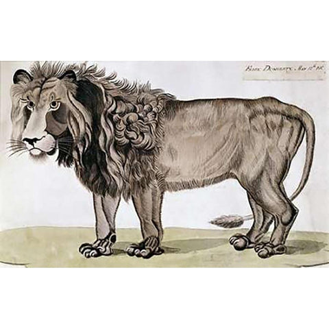 King of The Beasts Gold Ornate Wood Framed Art Print with Double Matting by Dogherty, Felix