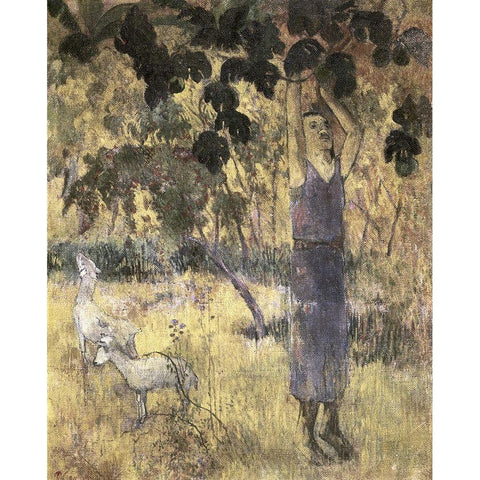 Man Gathering Fruit Cuisine White Modern Wood Framed Art Print by Gauguin, Paul