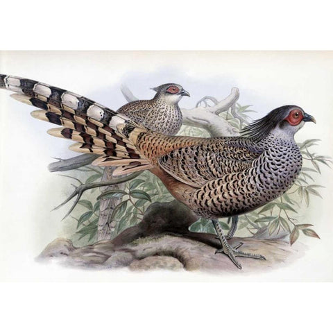 Cheer Gold Ornate Wood Framed Art Print with Double Matting by Glover, John