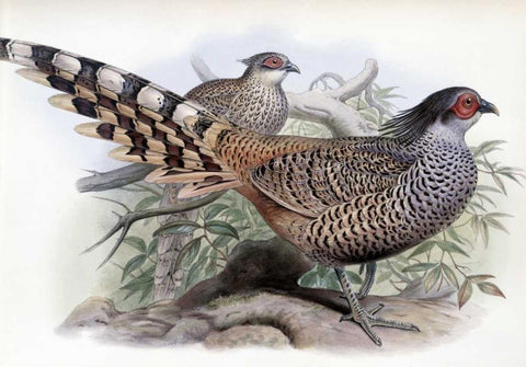 Cheer White Modern Wood Framed Art Print with Double Matting by Glover, John