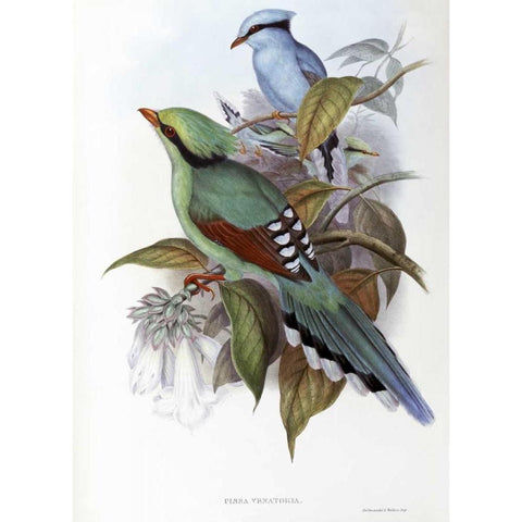 Hunting Cissa Black Modern Wood Framed Art Print by Glover, John