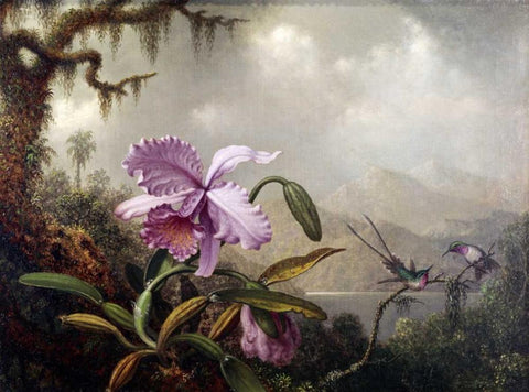 Hummingbirds and Orchids Black Ornate Wood Framed Art Print with Double Matting by Heade, Martin Johnson