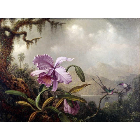 Hummingbirds and Orchids White Modern Wood Framed Art Print by Heade, Martin Johnson