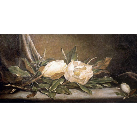 White Magnolias On a Blue Cloth Black Modern Wood Framed Art Print with Double Matting by Heade, Martin Johnson