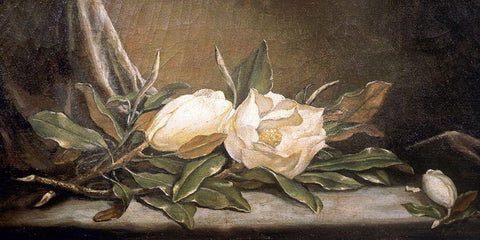 White Magnolias On a Blue Cloth White Modern Wood Framed Art Print with Double Matting by Heade, Martin Johnson