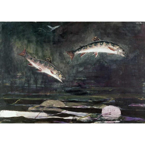 Leaping Trout Black Modern Wood Framed Art Print with Double Matting by Homer, Winslow