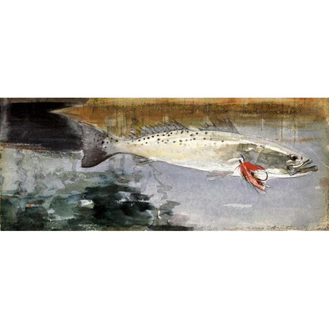 Mrs. R. H. Watts Trout Black Modern Wood Framed Art Print with Double Matting by Homer, Winslow