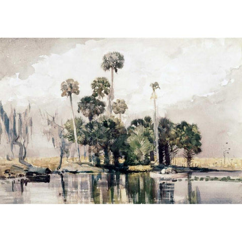 Exotic Island Black Modern Wood Framed Art Print with Double Matting by Homer, Winslow