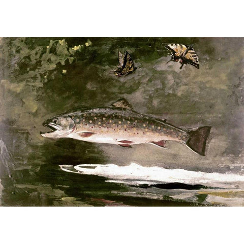 Trout White Modern Wood Framed Art Print by Homer, Winslow