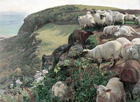 Our English Coasts - Strayed Sheep White Modern Wood Framed Art Print with Double Matting by Hunt, William Holman