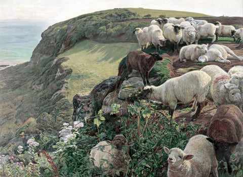 Our English Coasts - Strayed Sheep Black Ornate Wood Framed Art Print with Double Matting by Hunt, William Holman