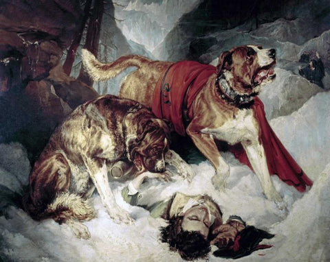 Alpine Mastiffs Reanimating a Distressed Traveller White Modern Wood Framed Art Print with Double Matting by Landseer, Sir Edwin