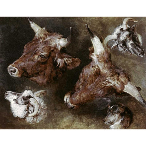 Heads of Sheep and Cattle White Modern Wood Framed Art Print by Landseer, Sir Edwin