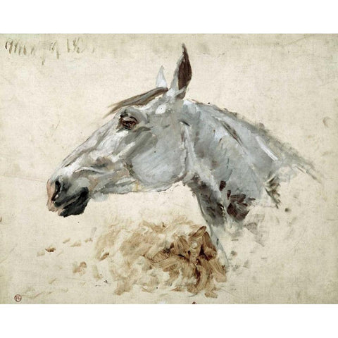 Testo Di Cavallo Black Modern Wood Framed Art Print with Double Matting by Toulouse-Lautrec, Henri