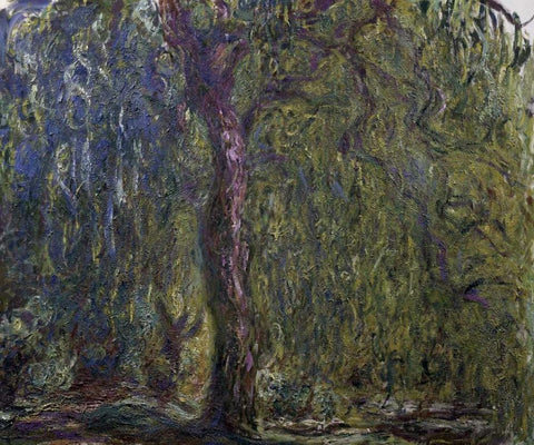 Weeping Willow - Saule pleureur White Modern Wood Framed Art Print with Double Matting by Monet, Claude