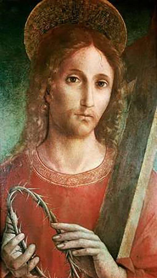 Image Only