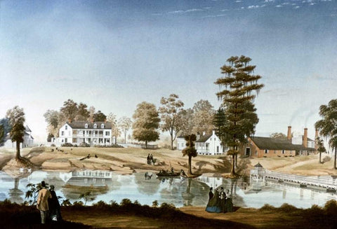 Oliver Plantation White Modern Wood Framed Art Print with Double Matting by Persac, Marie Adrien