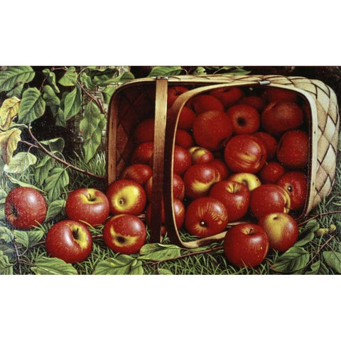 Basket of Apples Black Modern Wood Framed Art Print with Double Matting by Prentice, Levi Wells