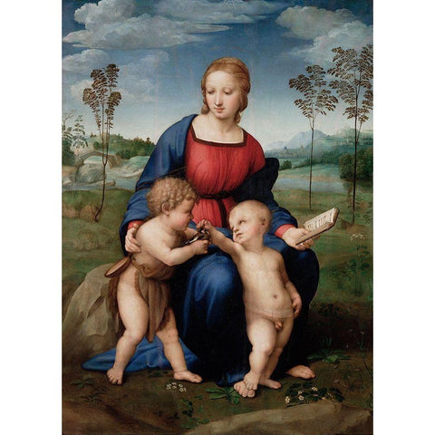 Madonna of The Goldfinch Black Modern Wood Framed Art Print with Double Matting by Raphael