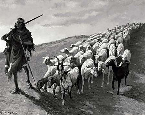 Navajo Sheepherder White Modern Wood Framed Art Print with Double Matting by Remington, Frederic