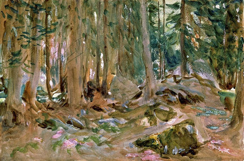 Pine Forest White Modern Wood Framed Art Print with Double Matting by Sargent, John Singer