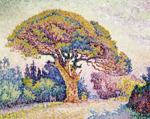 Pine Tree In St. Tropez White Modern Wood Framed Art Print with Double Matting by Signac, Paul