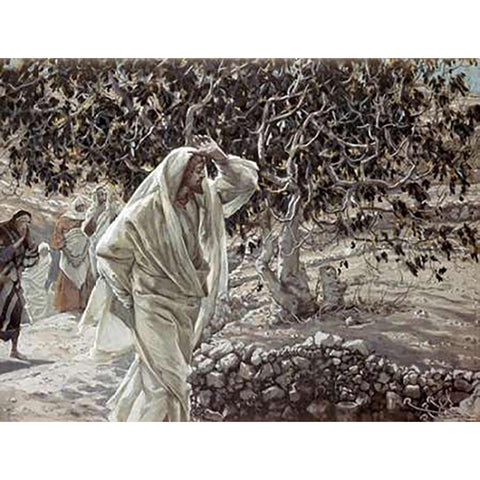 Accursed Fig Tree White Modern Wood Framed Art Print by Tissot, James