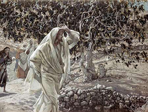 Accursed Fig Tree White Modern Wood Framed Art Print with Double Matting by Tissot, James