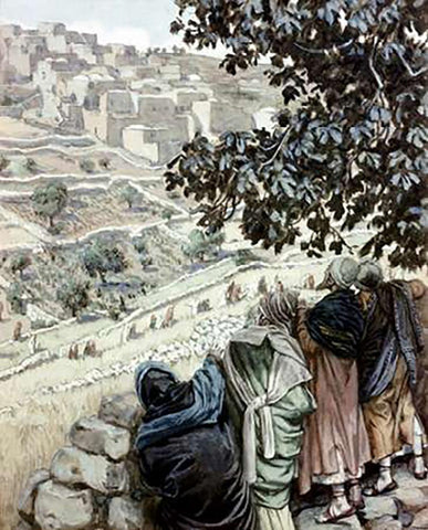 Disciples Pluck Corn On The Sabbath White Modern Wood Framed Art Print with Double Matting by Tissot, James