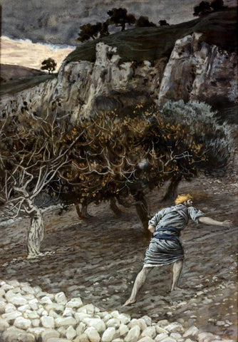 Enemy Sowing Tares White Modern Wood Framed Art Print with Double Matting by Tissot, James Jacques