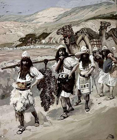 Grapes of Canaan Black Ornate Wood Framed Art Print with Double Matting by Tissot, James