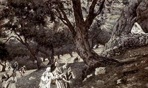 Jesus Went Out To a Desert Place White Modern Wood Framed Art Print with Double Matting by Tissot, James