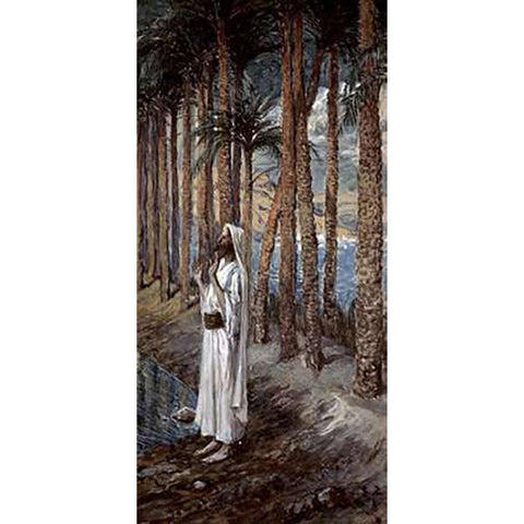 Palm Tree Black Modern Wood Framed Art Print with Double Matting by Tissot, James