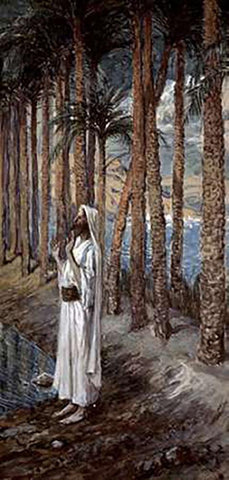 Palm Tree Black Ornate Wood Framed Art Print with Double Matting by Tissot, James
