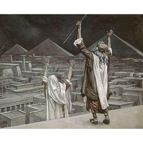 Plague of Locusts White Modern Wood Framed Art Print by Tissot, James