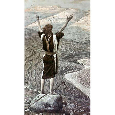 Voice In The Desert White Modern Wood Framed Art Print by Tissot, James