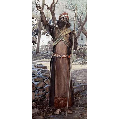 Zechariah White Modern Wood Framed Art Print by Tissot, James